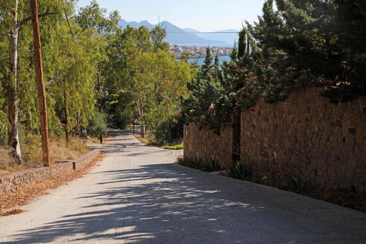 Eucalyptus Villa Aegina Esterno foto